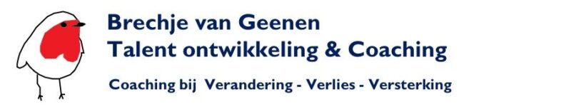 Brechje van Geenen Logo